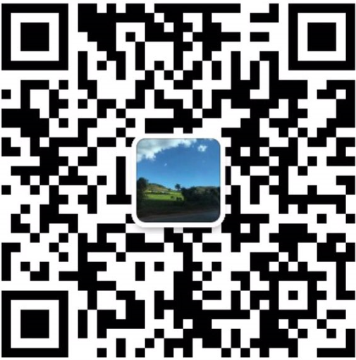 Linqing zhuochi bearing factory