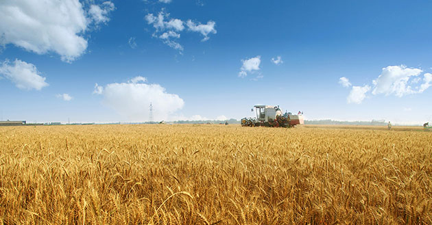 Agricultural